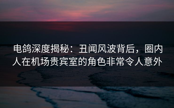 电鸽深度揭秘:丑闻风波背后,圈内人在机场贵宾室的角色非常令人意外