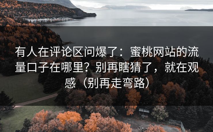 有人在评论区问爆了:蜜桃网站的流量口子在哪里?别再瞎猜了,就在观感(别再走弯路) 有人在评论区问爆了:蜜桃网站的流量口子在哪里?别再瞎猜了,就在观感(别再走弯路)
